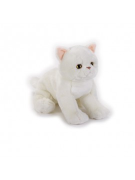 Venturelli Exotic Shorthair Kitten Ngs Peluches Gatti, 770672