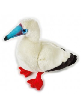 Venturelli - Sula Piedirossi, 770805