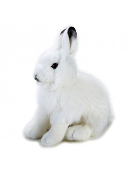 Venturelli - Lepre Artica Media, 770725