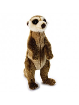 Venturelli - Suricato, 770798