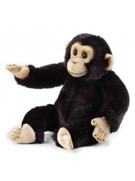 Venturelli Scimpanze Medio Ngs 770713