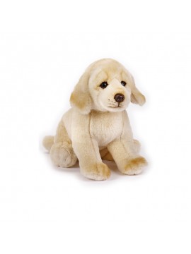 PELUCHE GOLDEN RETRIEVER NATIONAL GEOGRAPHIC 770685